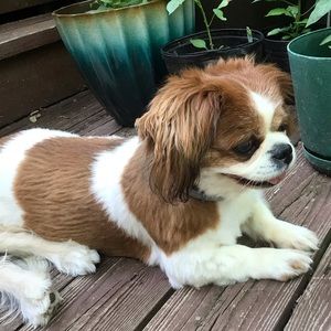 Meet your Posher, Jessica